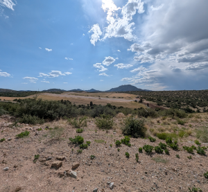 PXL_20250609_224328444